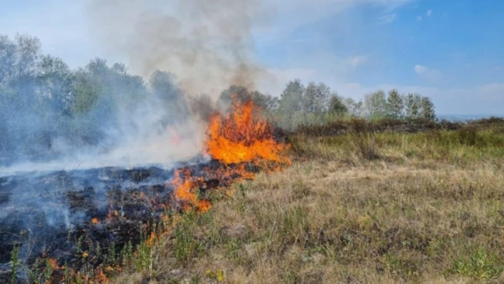 Пожароопасный сезон в Новосибирской области начнётся с 15 апреля