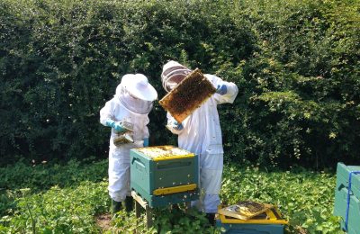 Заседание по развитию пчеловодства Коченёвского района и недопущения гибели пчелиных семей