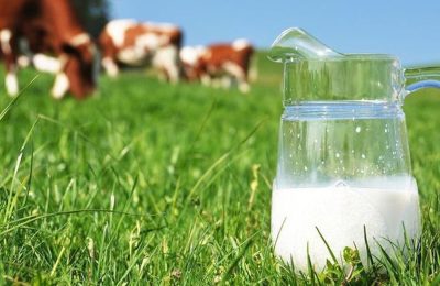 Сохранить показатели молочного животноводства и не потерять поголовье: Губернатор поставил задачу найти допрешения по помощи аграриям в засуху