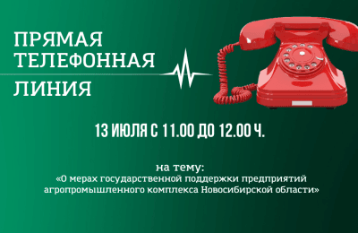 ПРЯМАЯ ТЕЛЕФОННАЯ ЛИНИЯ