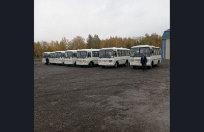 Рекордное число автобусов получат районы Новосибирской области до конца 2023 года