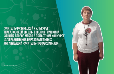 Учитель-профессионал