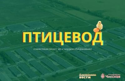 Имя на районной Доске почёта