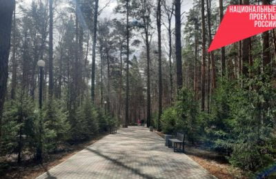 Парк для всех возрастов: «Сосновый бор» в Калининском районе преобразится после победы в конкурсе благоустройства