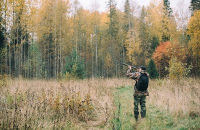 Минприроды Новосибирской области начал выдачу разрешений на добычу птиц и животных