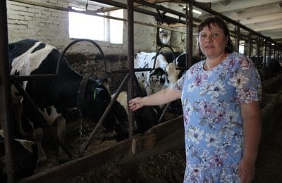 По Указу Президента