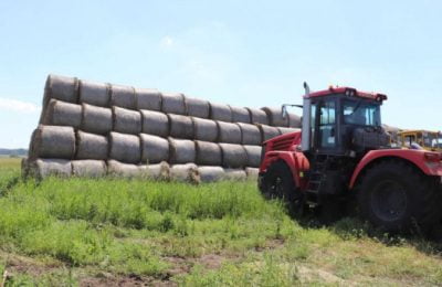 Более 30 % от запланированного объема господдержки уже получили аграрии региона в этом году