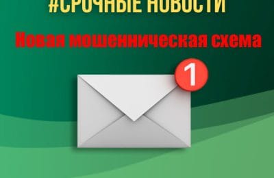 Отделение СФР по Новосибирской области предупреждает: остерегайтесь мошенников!