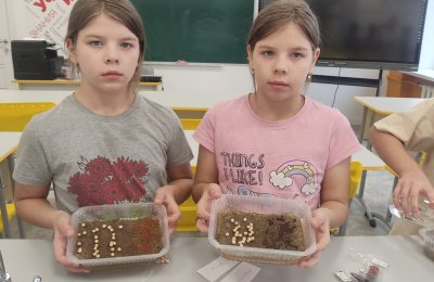 От экологии родного посёлка до экологии души