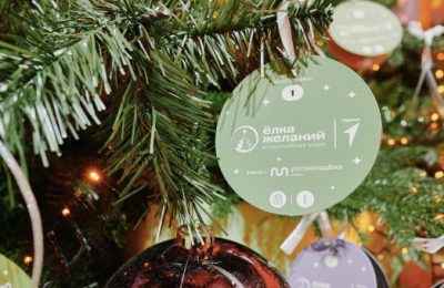 В Новосибирской области проходит ежегодная акция «Ёлка желаний»