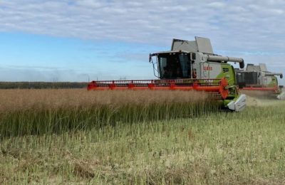 Более 1200 рабочих мест будет создано в АПК региона благодаря новым инвестиционным проектам