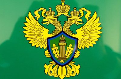 По иску прокурора в пользу пенсионера, пострадавшего от действий телефонных мошенников, взыскано 350 тыс. рублей