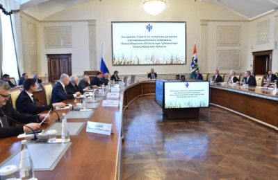 Повышение эффективности мер государственной поддержки сельхозтоваропроизводителей Новосибирской области рассмотрели в Правительстве региона