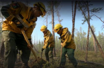 Начнется в течение недели: сроки открытия пожароопасного сезона установлены в Новосибирской области