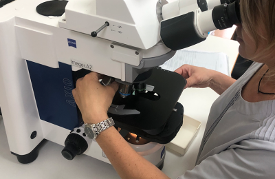 Об описторхозе – заболевании, общем для рыб, животных и человека