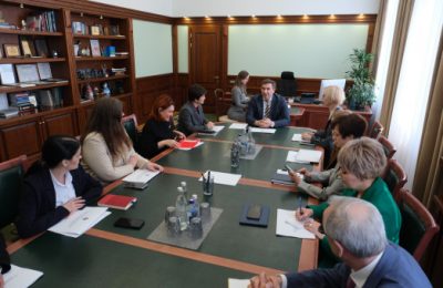 Опыт развития системы профилактики социального сиротства Новосибирской области представят федеральным специалистам