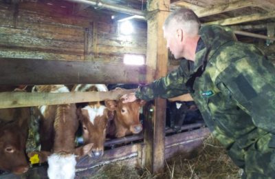 Новая мера господдержки – грант «Агромотиватор» для ветеранов и участников СВО будет действовать в регионе с 2026 года