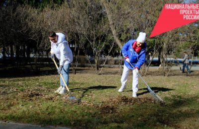 Массовые субботники прошли в Новосибирской области на объектах благоустройства