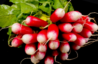 Советы специалистов Россельхознадзора помогают «продлить огородную жизнь редиса»