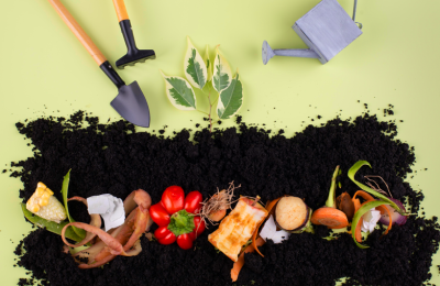 Как компостировать органические отходы без риска и превратить их в ценное удобрение