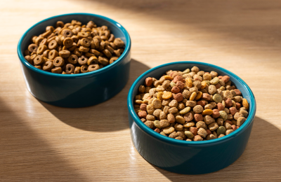 Зерновой корм для собак и кошек: мифы о пользе и вреде