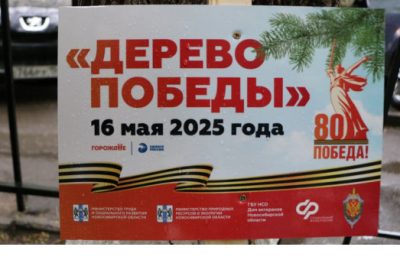 «Дерево Победы»: в Новосибирской области прошла акция по высадке елей