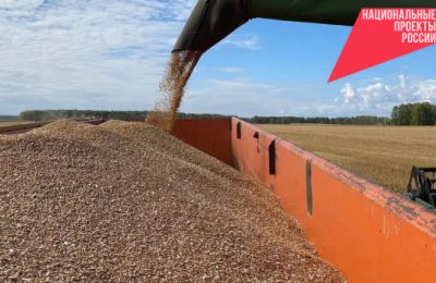 Новосибирская область стала лидером в Сибири по экспорту продукции АПК