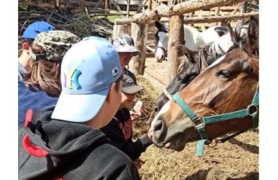 Инклюзивное волонтерство: новые возможности социальной адаптации внедрены в регионе