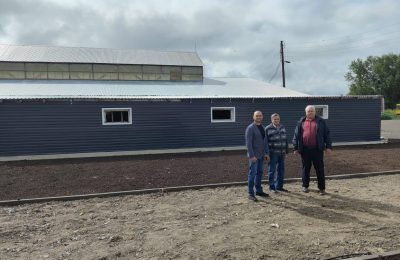 Строится завод