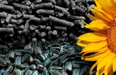 Многогранное использование лузги подсолнечника