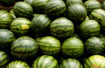 12 мифов и фактов об арбузах: мнение экспертов ЦОК АПК