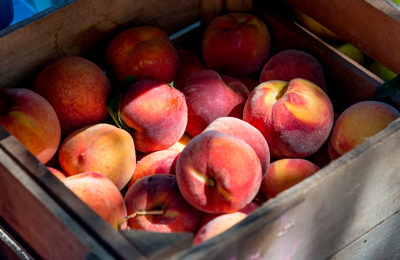 Какие тайны хранит в себе персик и как его правильно выбрать в магазине – советы экспертов ЦОК АПК
