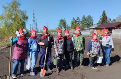 Польза «общественного огорода»