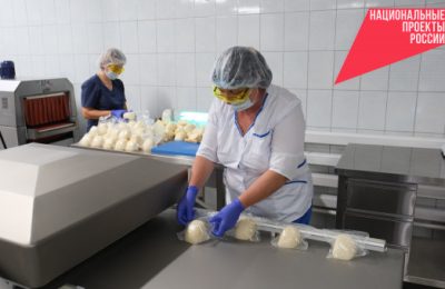 Новосибирская область успешно реализует федеральный проект «Производительность труда»