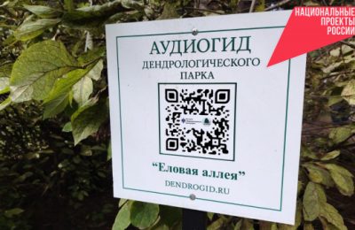 Первый аудиогид, посвященный особо охраняемой природной территории, появился в Новосибирской области