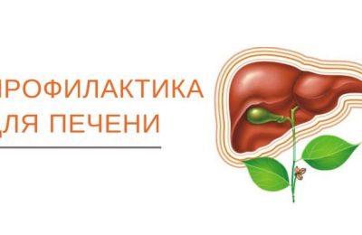 28 июля–3 августа – Неделя профилактики заболеваний печени