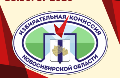 Избирательная комиссия НСО информирует: Как я могу проголосовать?