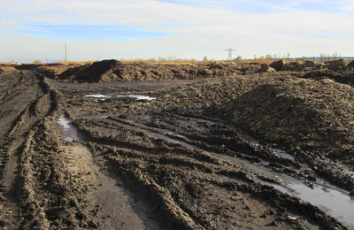 Эксперты ЦОК АПК рассказали об особенностях рекультивации сельхозземель и разъяснили изменения правил с 1 сентября 2025 года