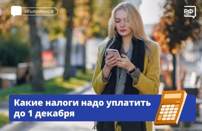 Какие налоги надо уплатить до 1 декабря