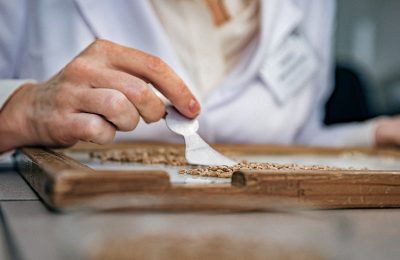 Число падения – важный показатель качества зерна