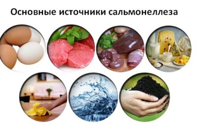 О профилактике cальмонеллёза