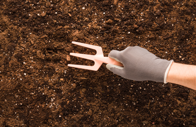 Какие осенние работы в саду закладывают основу будущего урожая