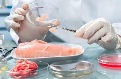 Чем опасны блюда из дикого мяса, рассказали специалисты ЦОК АПК