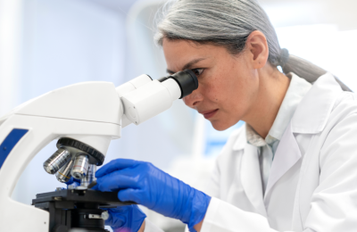 Специалисты Алтайского филиала ЦОК АПК выявили 20 тонн казахстанской сливы, зараженной карантинным вредителем