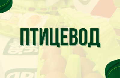 «Птицевод»: имена на Доске почёта