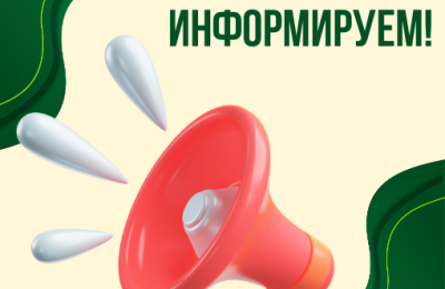 Реализацию закона об обращении с животными без хозяев в Новосибирской области поставят под строгий общественный контроль