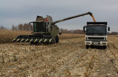 Губернатор Андрей Травников: Технологическое и производственное развитие позволяет получить достойный урожай – несмотря на непростые погодные условия