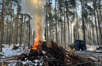 Сжечь нельзя оставить: в регионе началась плановая уборка порубочных остатков