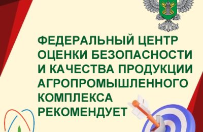 Угроза от мучного клеща в аграрной сфере и на кухне