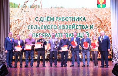День урожая–2025: достойный труд, высокие показатели